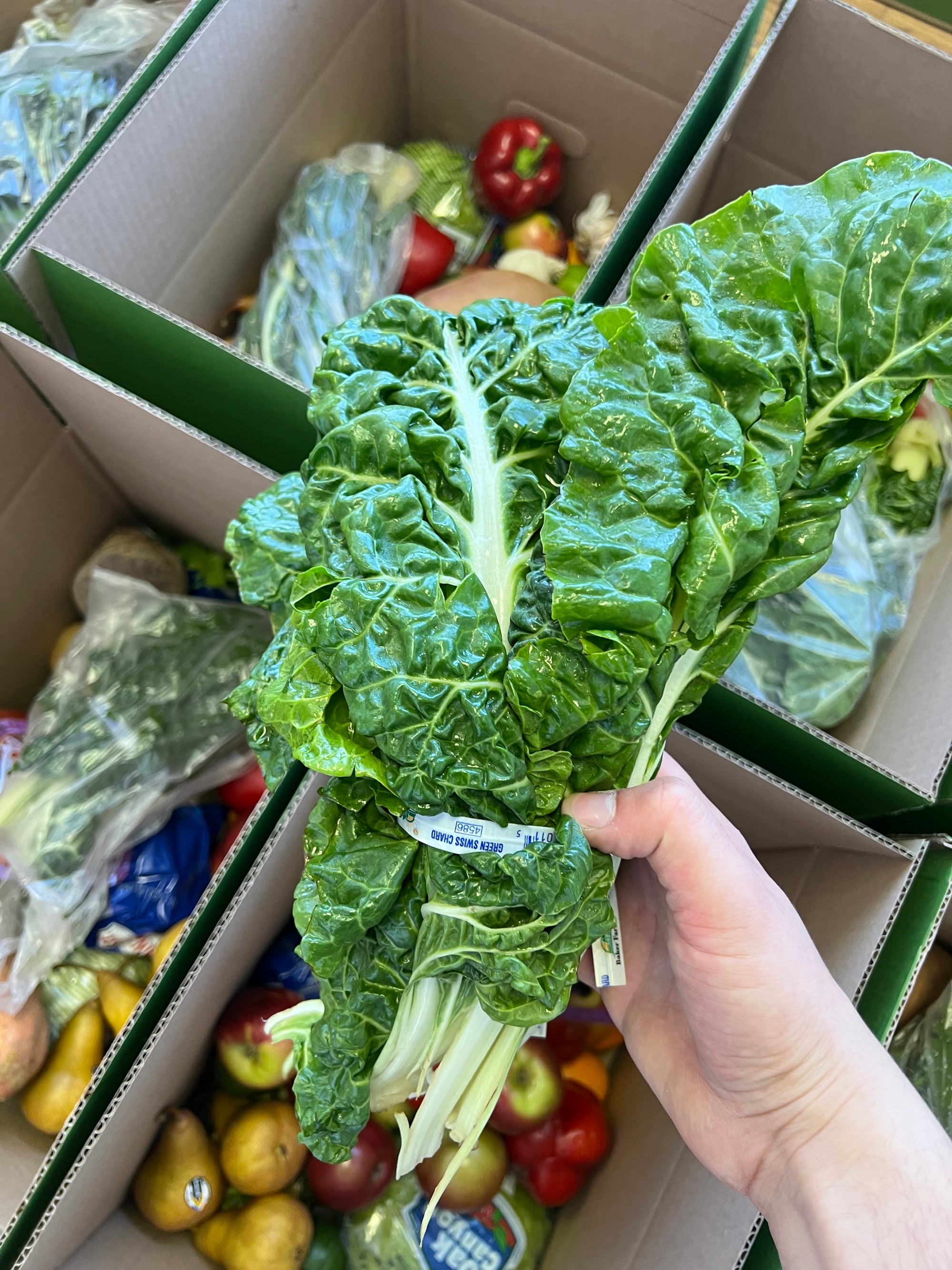 Vegetable | Fruitmeup